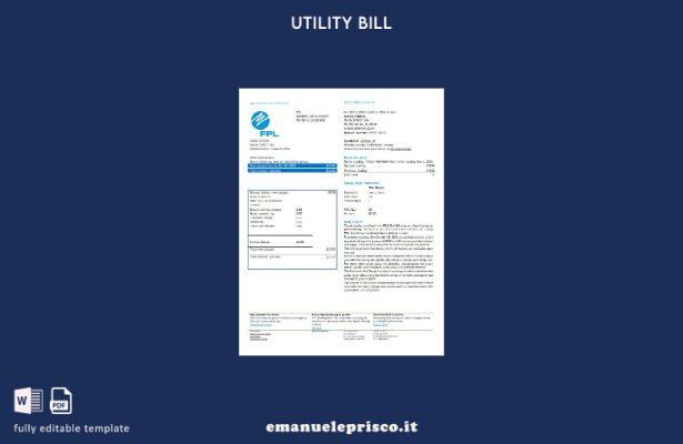 modello di versione della bolletta elettrica FPL USA Florida stile verificato